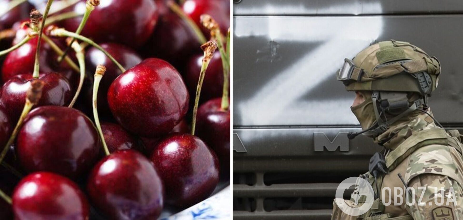 Росія на форумі у Санкт-Петербурзі похвалилася вкраденою мелітопольською черешнею. Фото