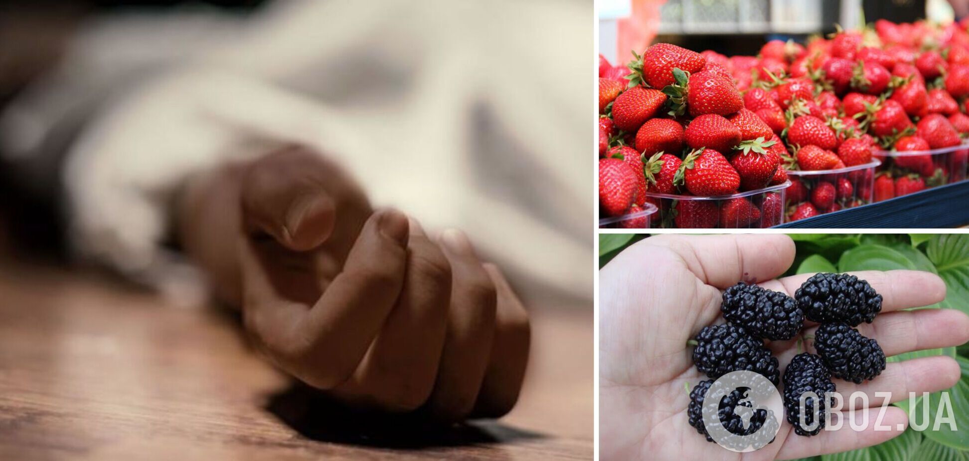 Дівчина-підліток померла після вживання ягід