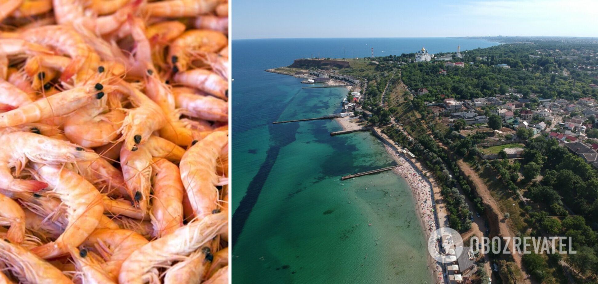 В Одессе запретили купаться на всех пляжах: существует реальная опасность для здоровья