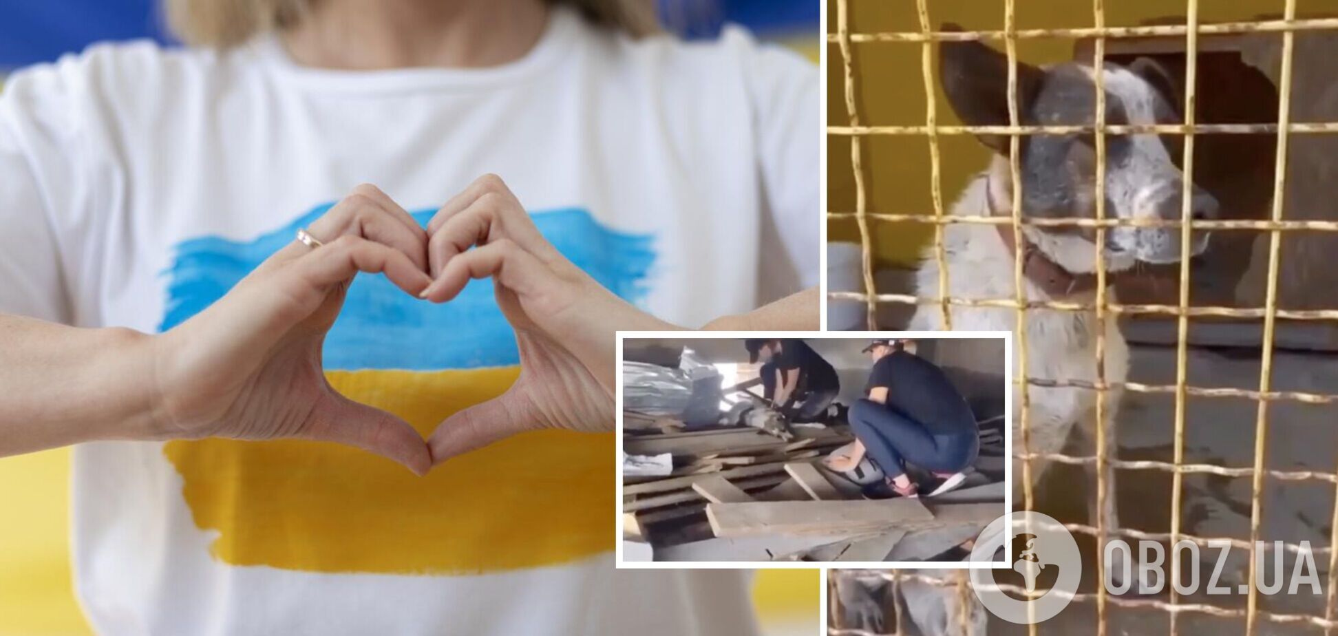 Робили масаж серця: волонтерам вдалося повернути до життя собаку з Херсонської області. Відео