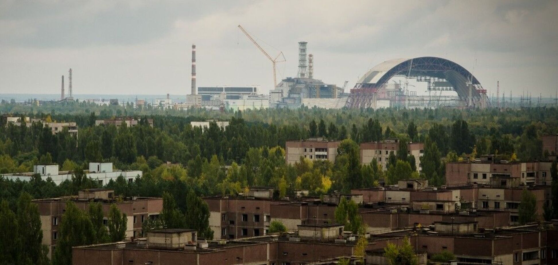 У Чорнобильській зоні встановлено багато фотопасток