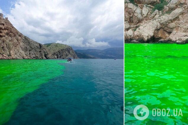 В оккупированном Севастополе вода стала кислотно-зеленого цвета: 'власть' выдала бессмысленное объяснение. Фото