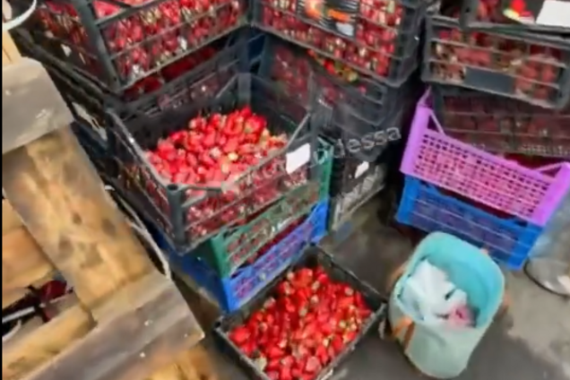 Продавцы выбросили клубнику, которую не смогли продать