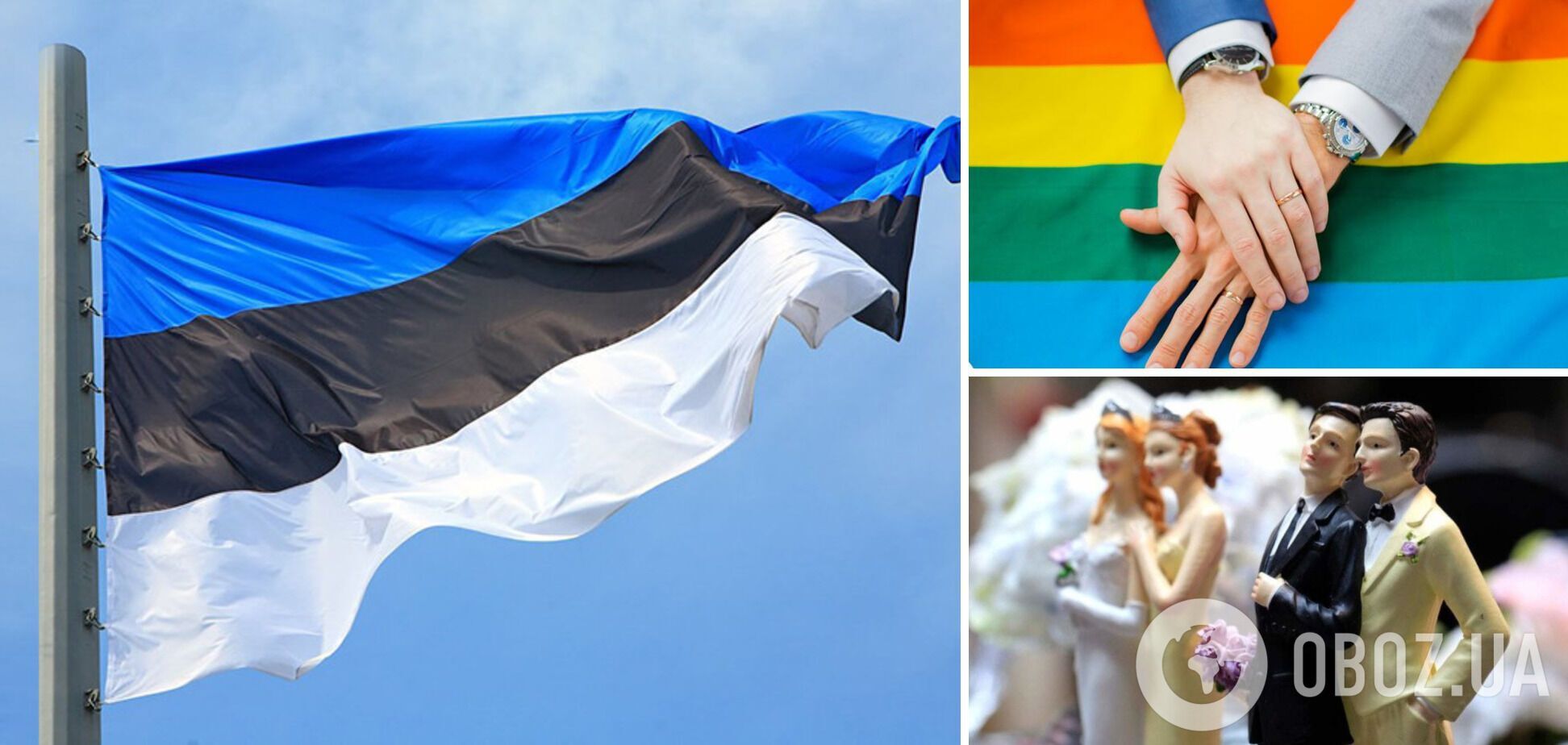 Естонія першою з країн Балтії узаконила одностатеві шлюби і дозволила парам  всиновлювати дітей