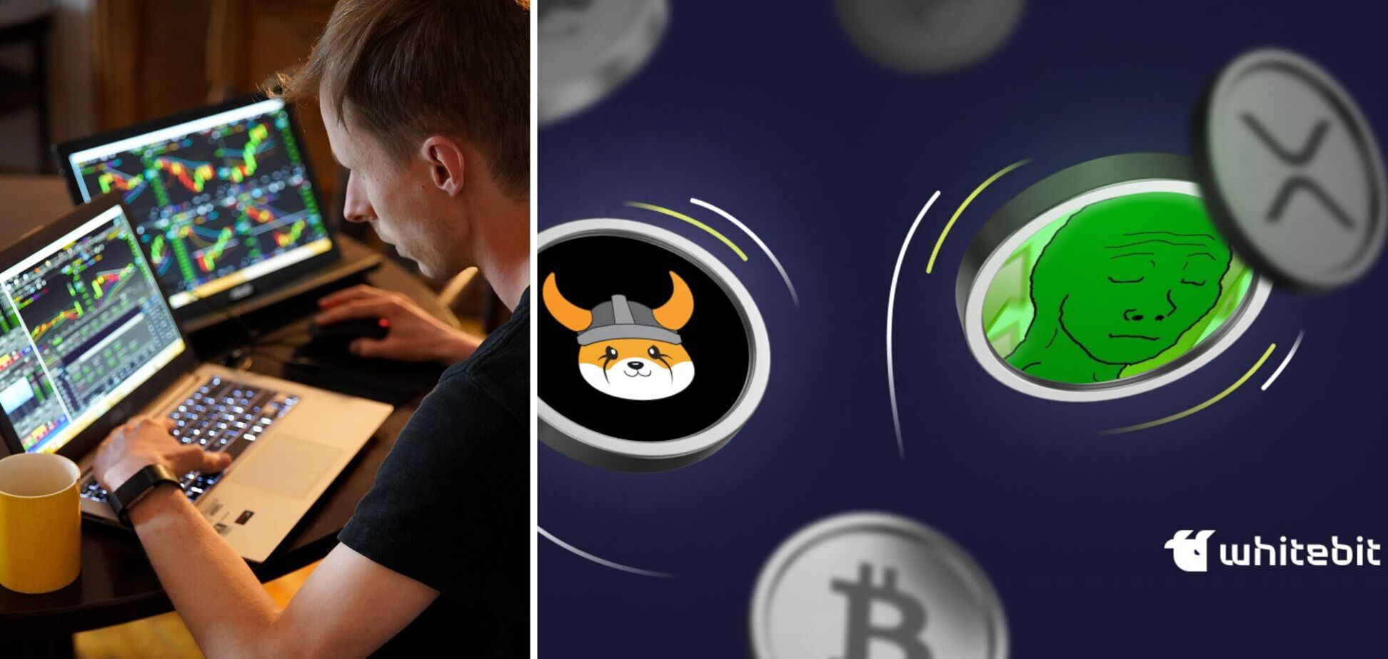 Криптовалюти-меми - як розвивався феномен та які його подальші перспективи