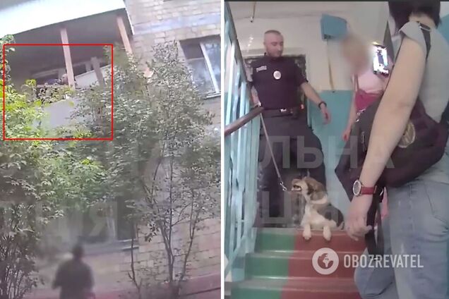 Собаку передали зоозащитникам