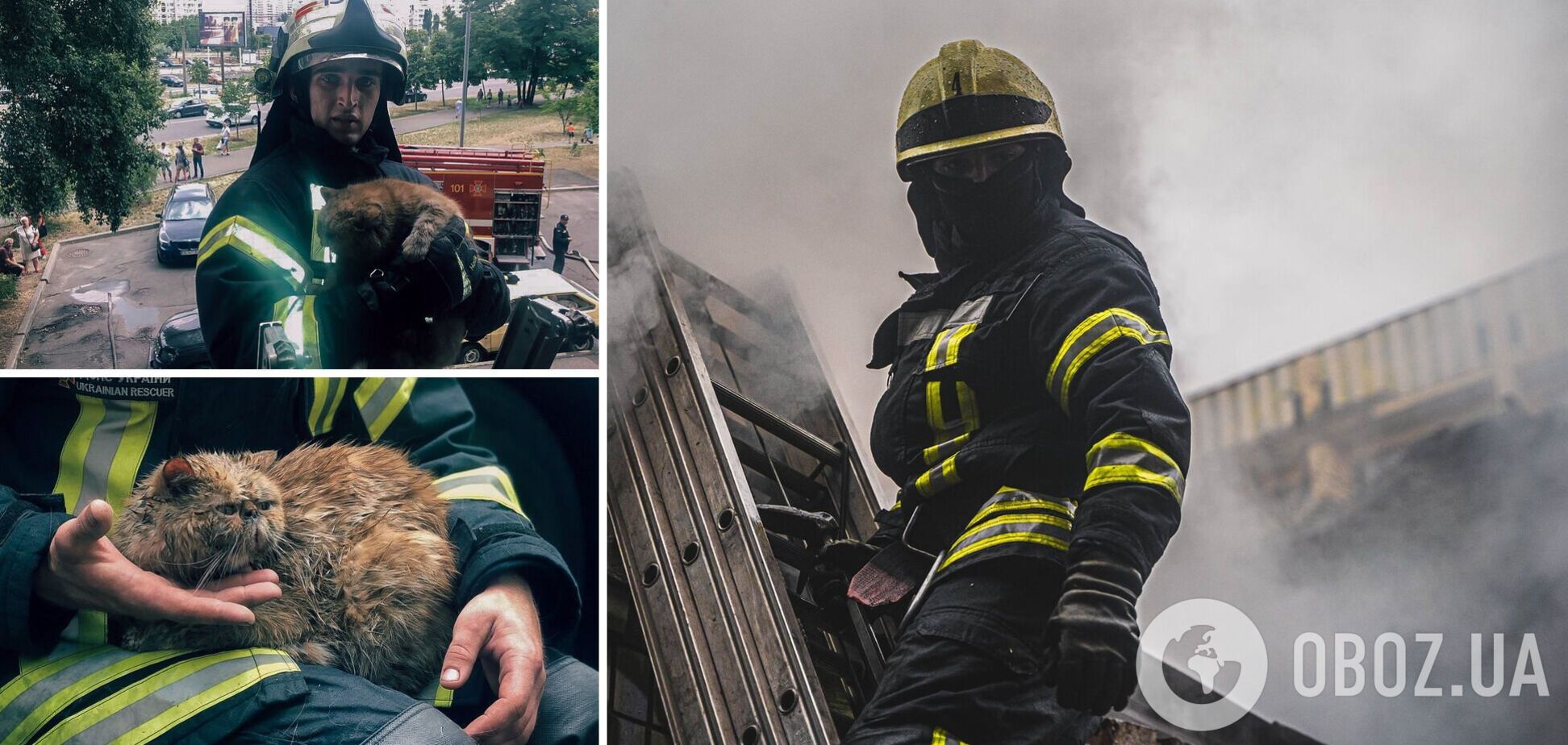 Бійці ДСНС врятували двох котиків