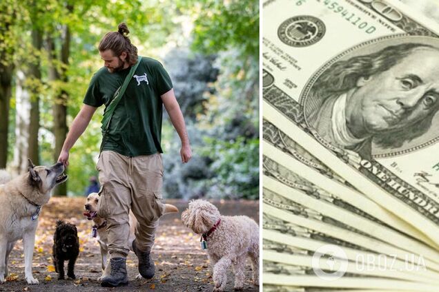 У Британії мільярдер шукає для своїх собачок няню із зарплатою $10 тис. на місяць