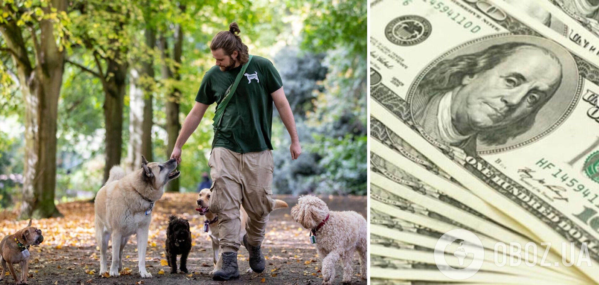 В Британии миллиардер ищет для своих собачек няню с зарплатой в $10 тыс. в месяц