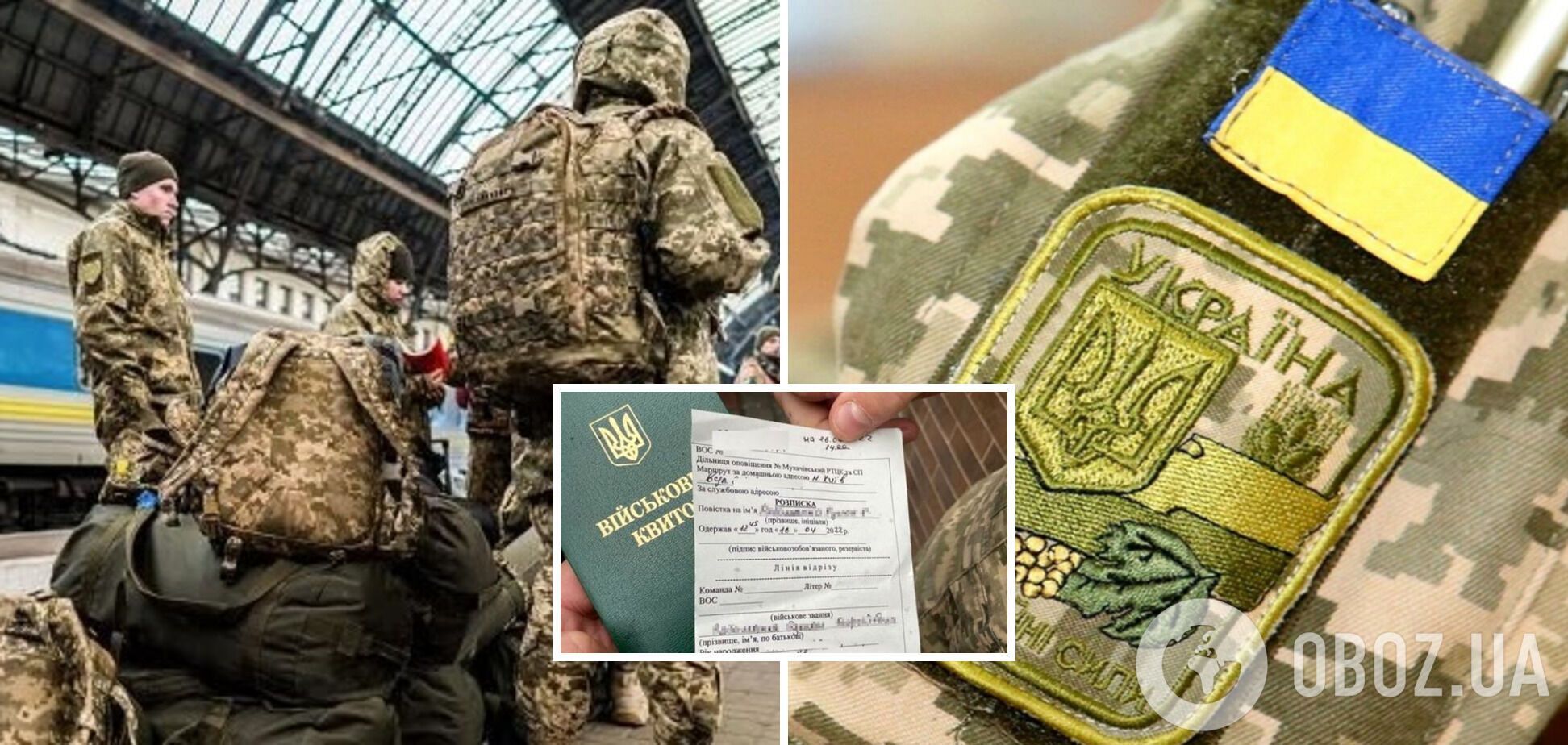 Всего 13 категорий: кого в Украине могут мобилизовать только по собственному желанию во время военного положения