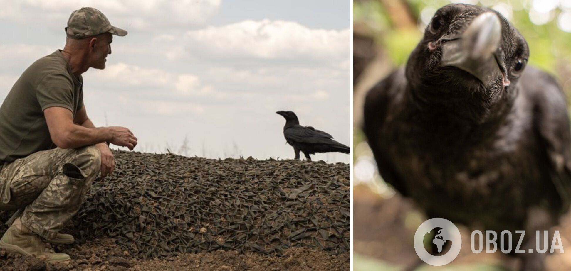 Мог бы быть разведчиком или диверсантом: бойцы ВСУ на позиции приручили ворона. Фото и видео