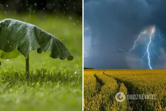 Дожди, грозы и шквальный ветер: синоптики дали прогноз погоды на воскресенье, 25 июня