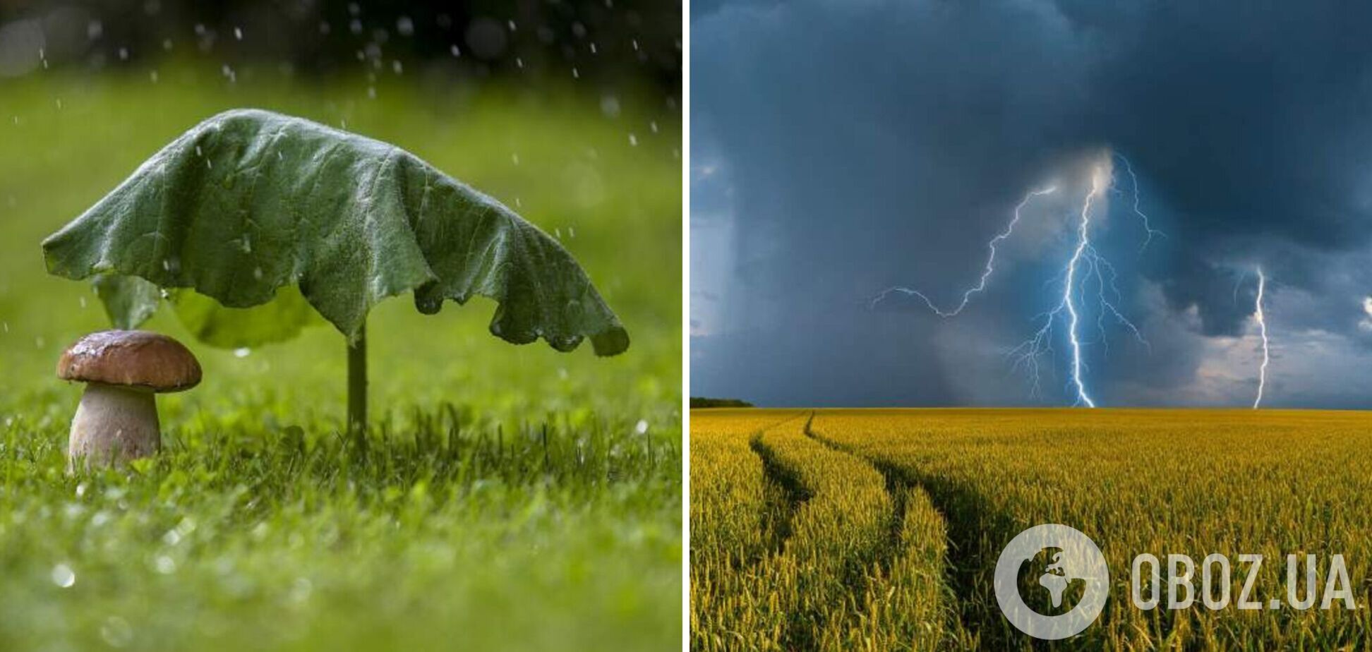 Дожди, грозы и шквальный ветер: синоптики дали прогноз погоды на воскресенье, 25 июня
