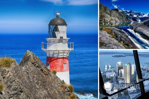 Багато овець та жодної корупції: що потрібно знати перед поїздкою у Нову Зеландію