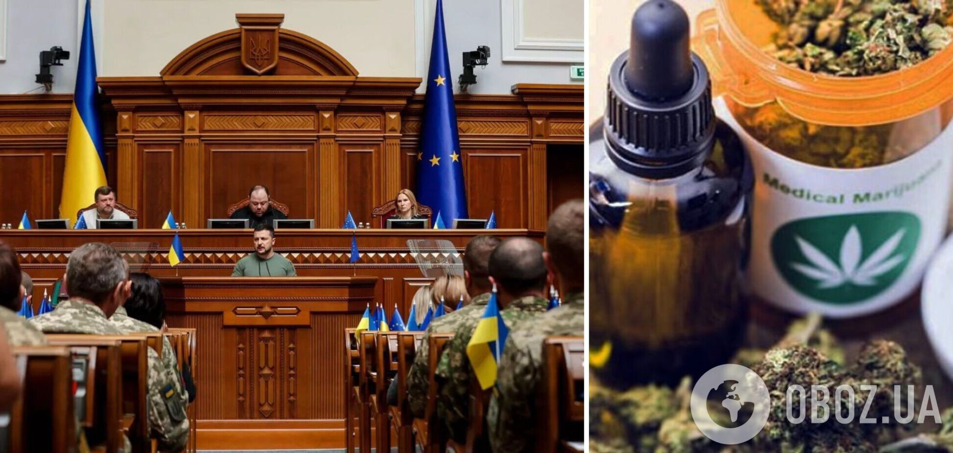 Зеленський закликав депутатів легалізувати в Україні медичний канабіс