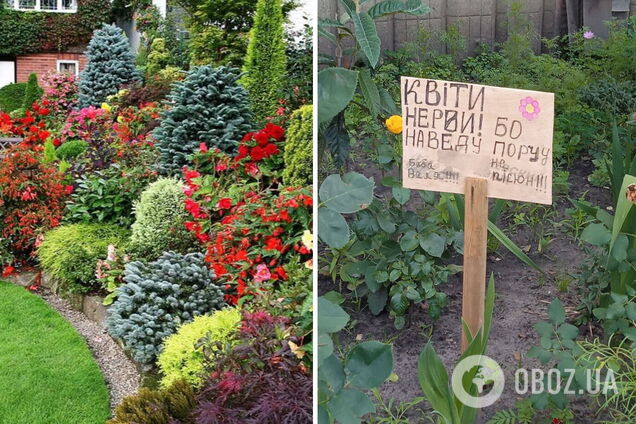 Местная жительница обещает навести порчу на воров