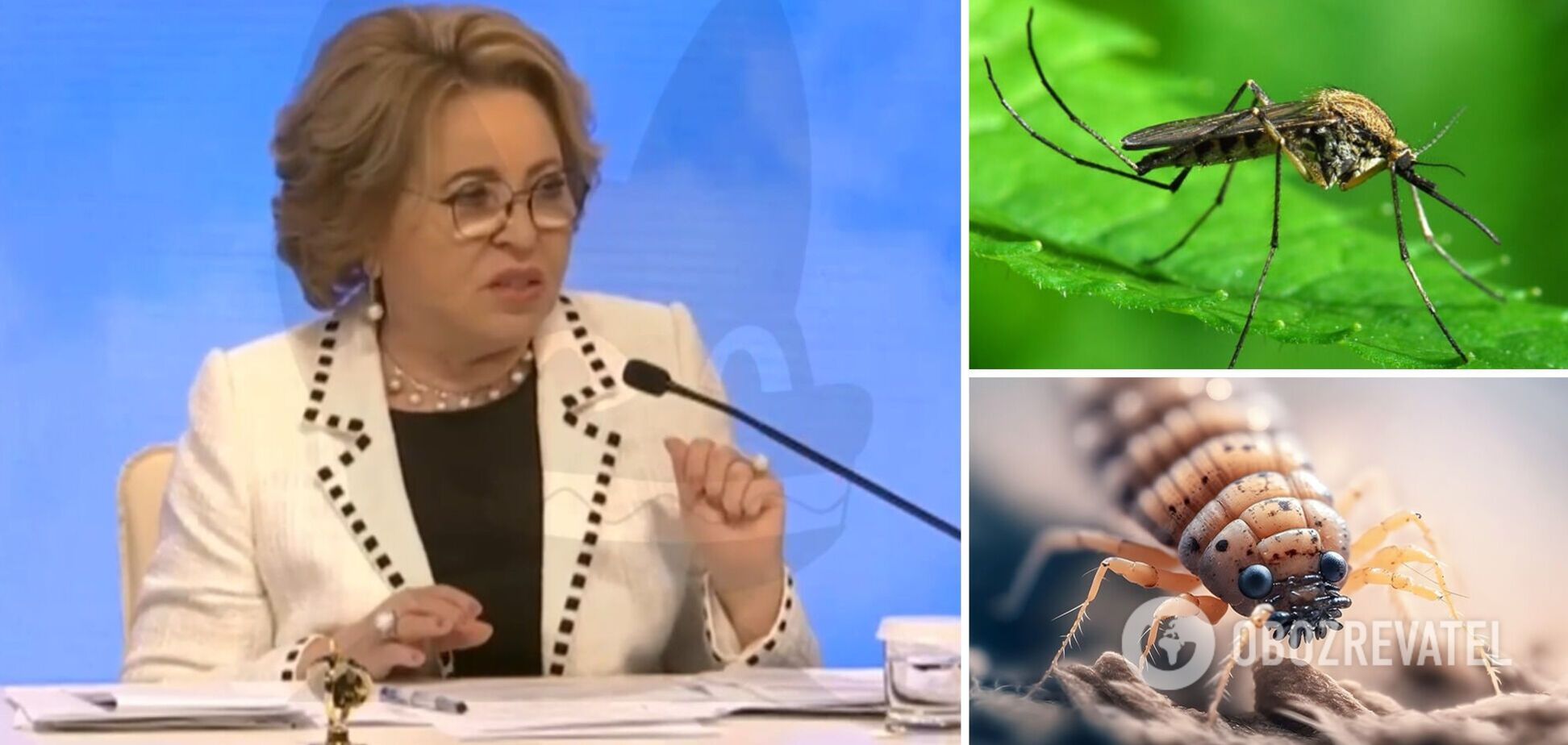'Переключаємось на снайперів-карасів': мережа вибухнула жартами через заяву РФ про 'бойових комарів і вошей' України