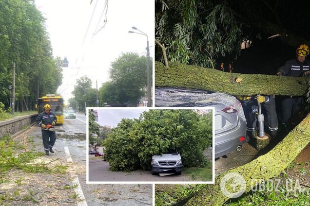 Последствия непогоды фиксировались в разных районах столицы