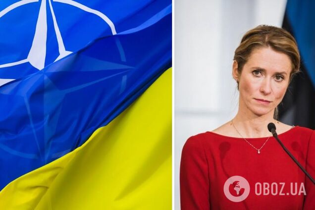 Премьер Эстонии назвала единственной гарантией безопасности для Украины членство в НАТО