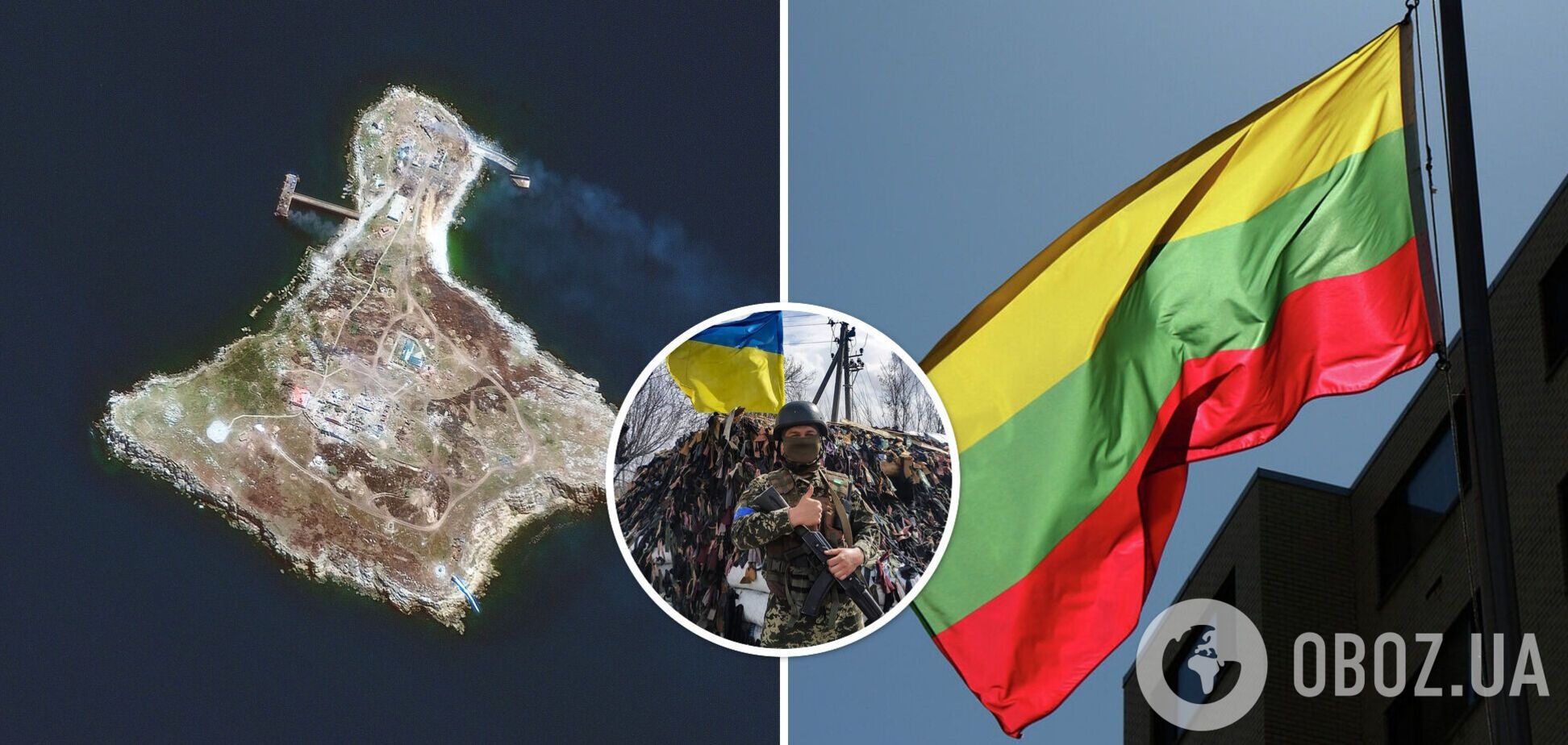 Литва поддержала Украину в день освобождения Змеиного острова