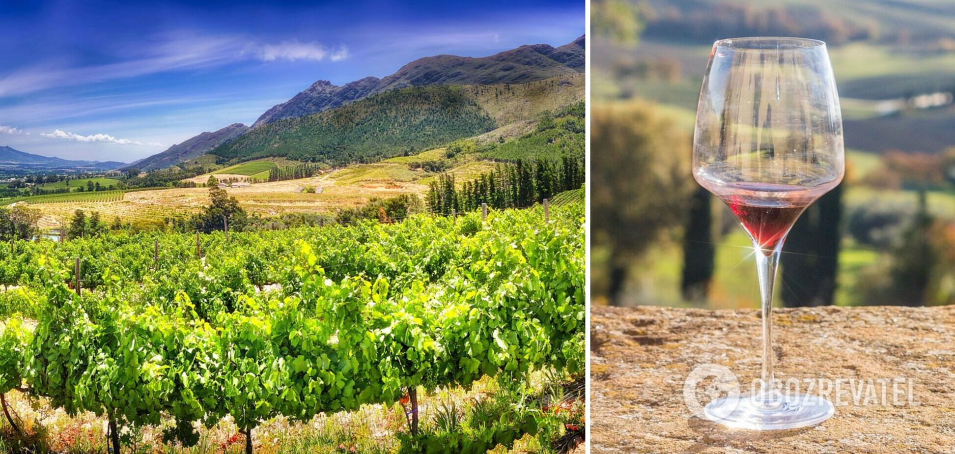 Путешествие с изюминкой: лучшие винодельческие регионы мира