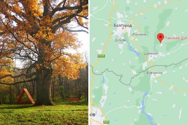 Российские националисты прорвались на древние украинские земли