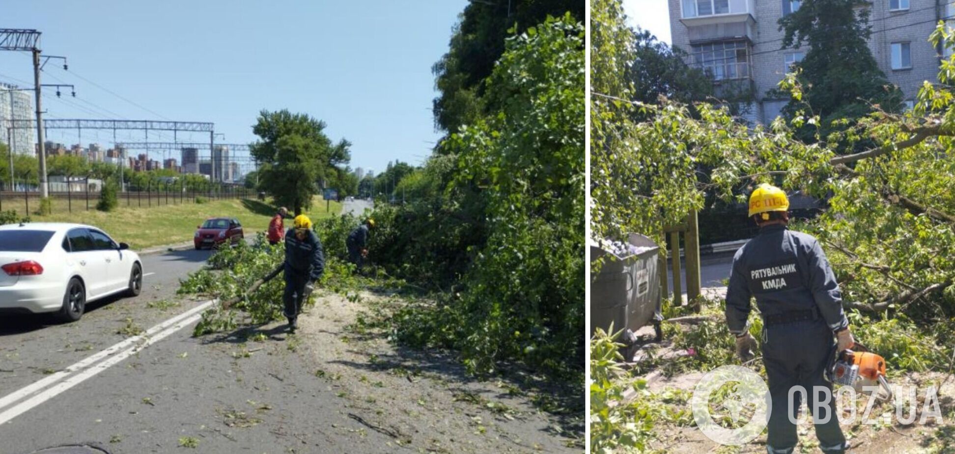 Внаслідок урагану були поломані дерева у різних районах столиці