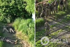 Навантаження на межі витривалості: в ЗСУ показали тренування 128-ї гірсько-штурмової бригади. Відео