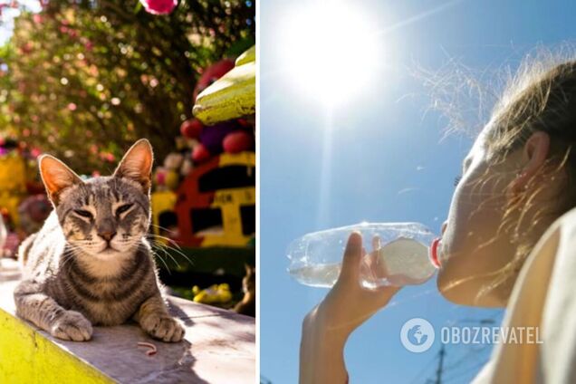 Спека і мінімум опадів: синоптики дали прогноз погоди на тиждень. Відео