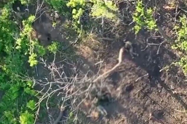 Під Сватовим зняли з дрона посадку з ліквідованими окупантами