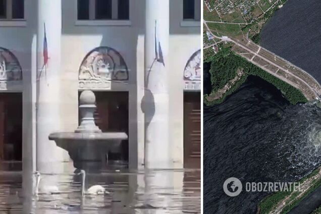 В Новой Каховке возле Дворца культуры из-за затопления в результате подрыва ГЭС плавают лебеди. Видео