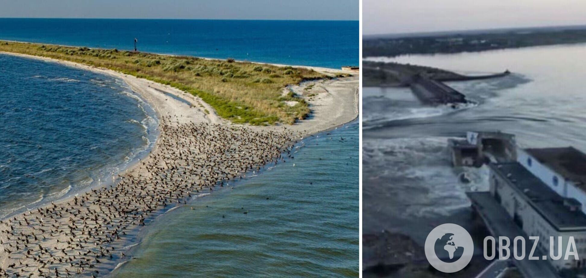 Кинбурнская коса может стать островом: Гуменюк объяснила кратковременные последствия подрыва Каховской ГЭС