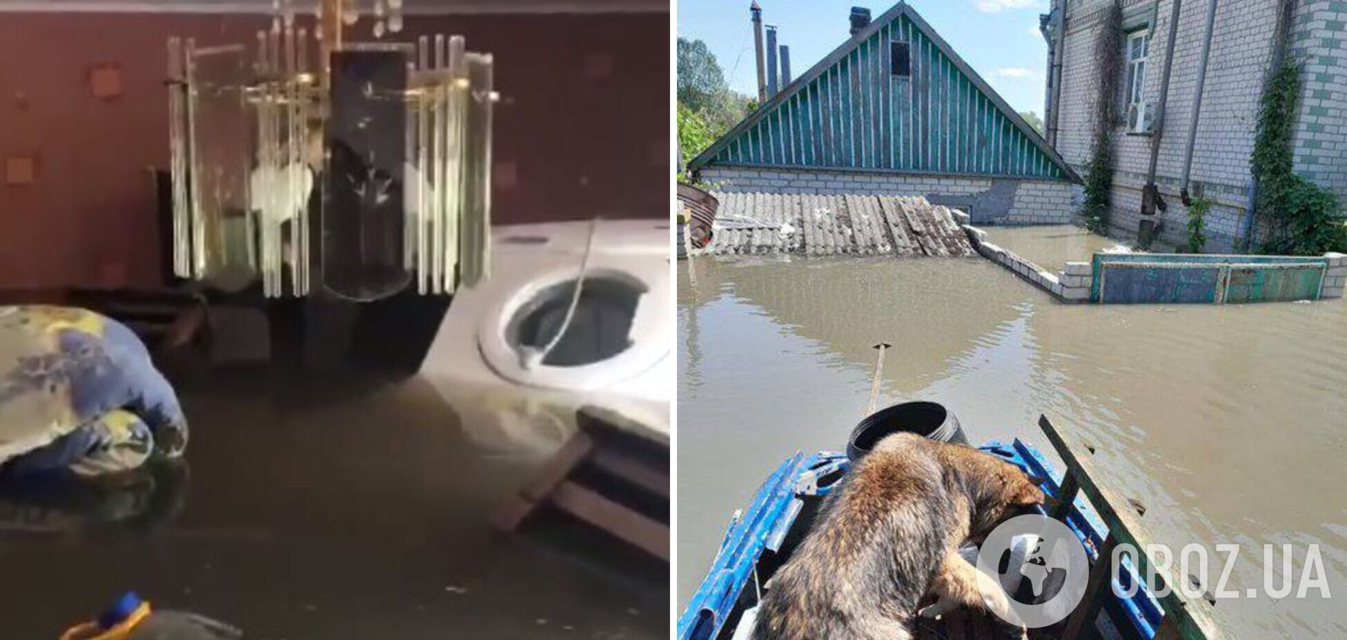 'Вода почти под потолком': жители Херсона показали, как спасают ценные вещи из домов. Видео