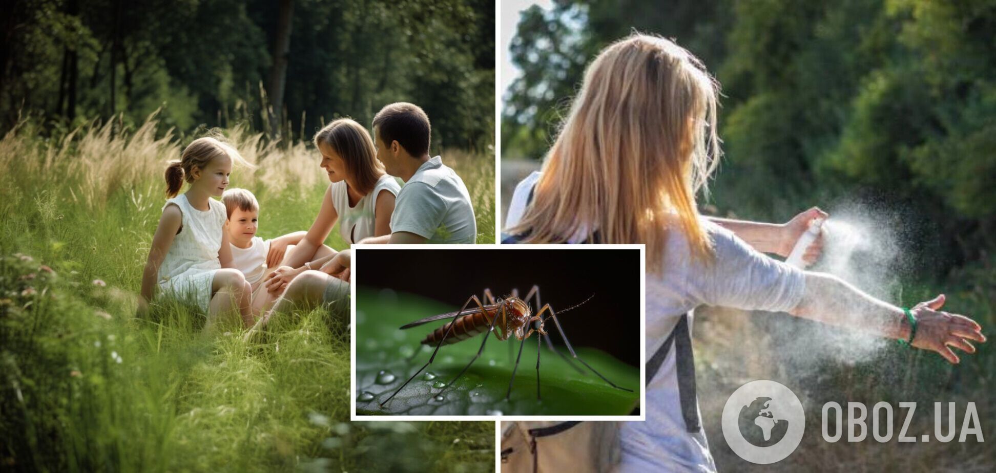 Как защититься от укусов комаров: народные средства со 100% эффектом
