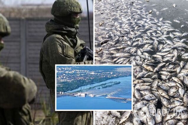 У Марʼянському на Дніпропетровщині зафіксовано масовий мор риби через наслідки підриву Каховської ГЕС. Фото і відео 