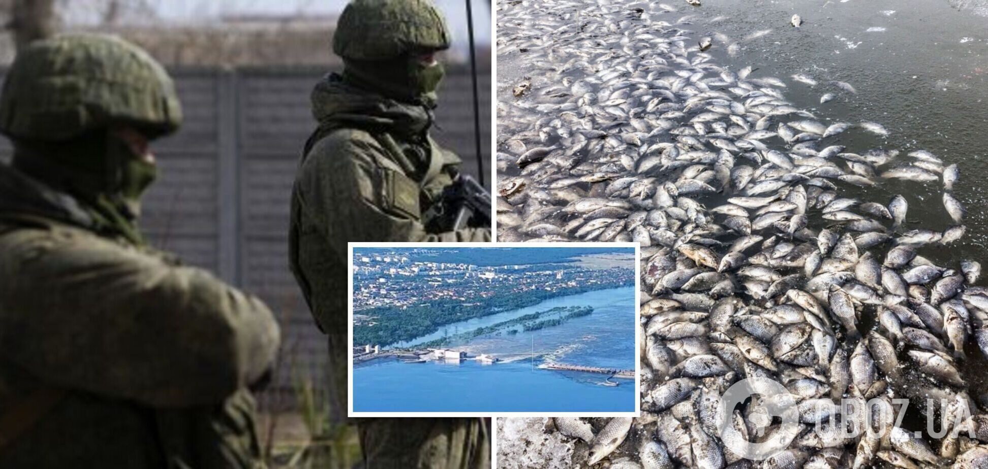У Марʼянському на Дніпропетровщині зафіксовано масовий мор риби через наслідки підриву Каховської ГЕС. Фото і відео