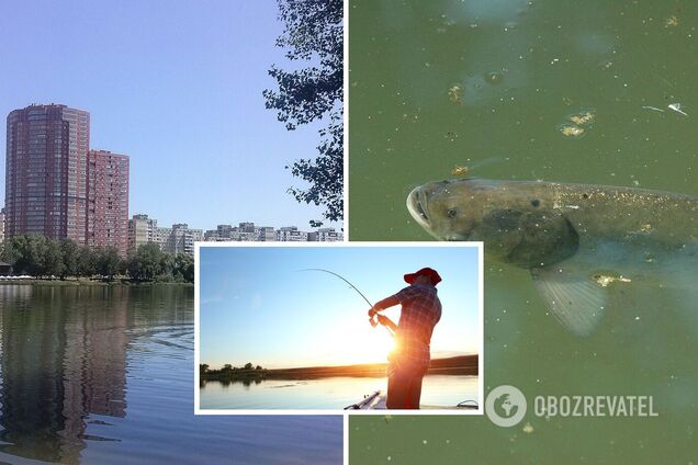 Чоловік на столичному озері виловив величезну рибу