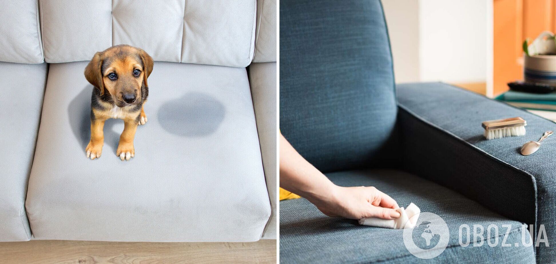 Як відчистити старі плями на дивані: простий лайфхак