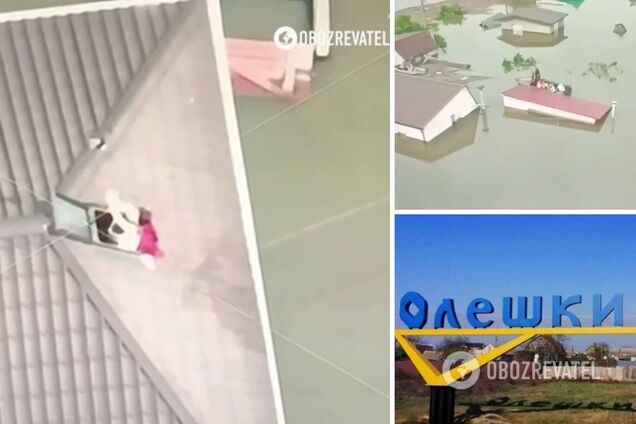 Эвакуация семьи из города Алешки