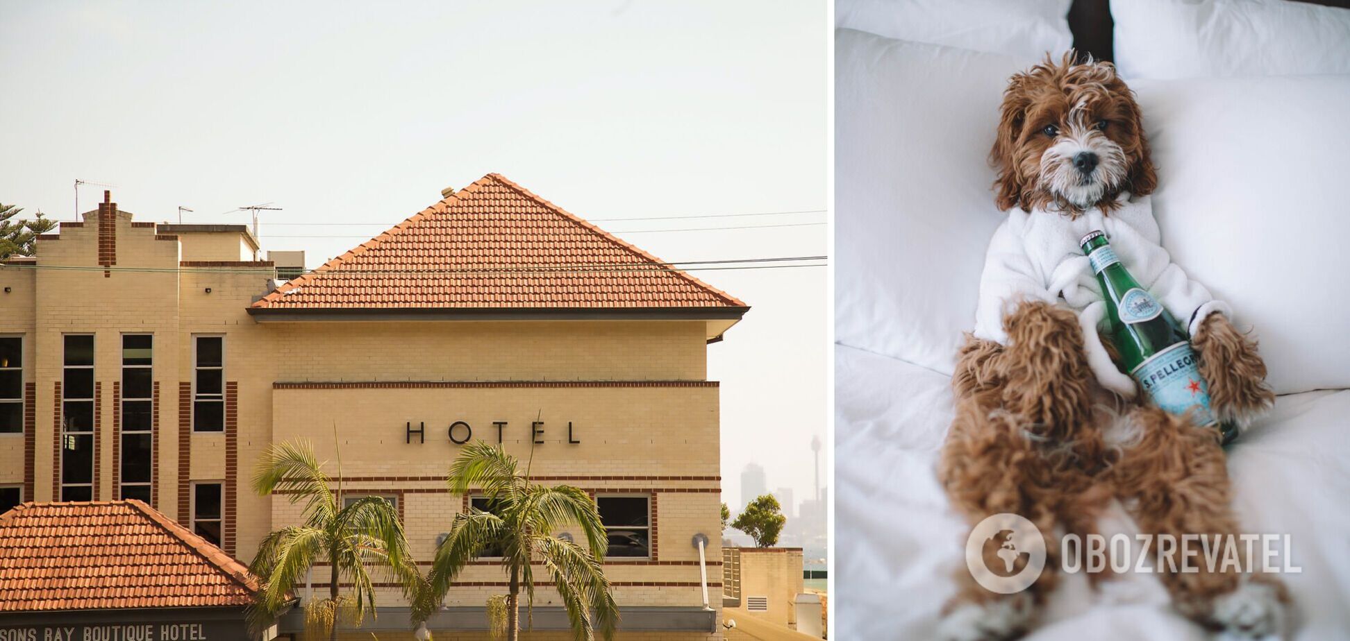 Громкие соседи и некомфортные кровати: что действительно раздражает туристов в отелях