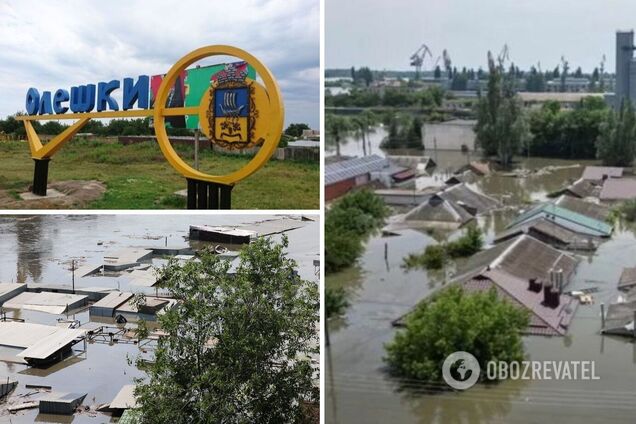 Олешки на грани гуманитарной катастрофы: там нет света и воды, погибшие остаются под завалами