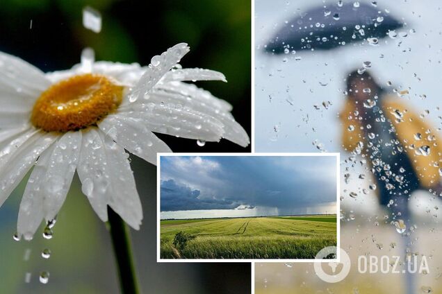 В Україні на вихідних стане трохи прохолодніше: синоптики дали детальний прогноз. Карта