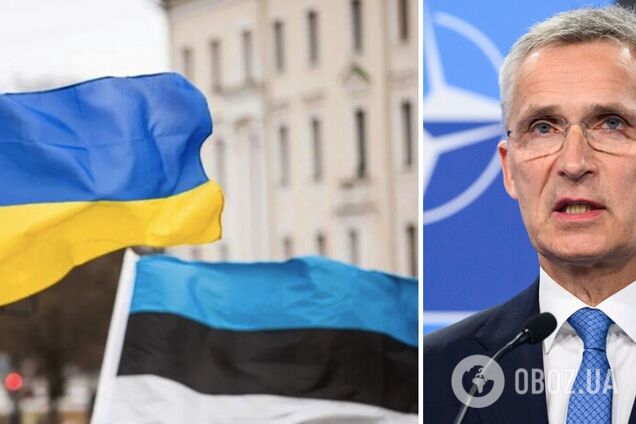 Естонські парламентарі вважають, що НАТО може надіслати Росії хибний сигнал щодо України