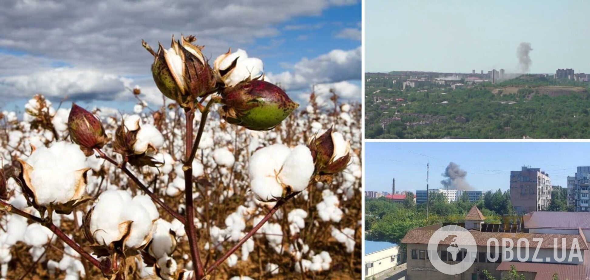 Бавовна в Донецке