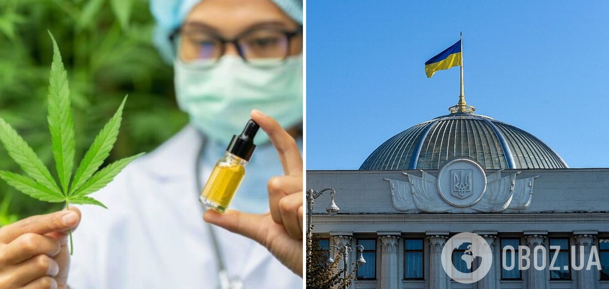 Депутати Ради зробили крок до легалізації медичного канабісу в Україні: що передбачає законопроєкт