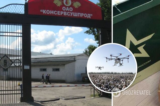 В России заявили, что беспилотник сбросил взрывчатку на завод