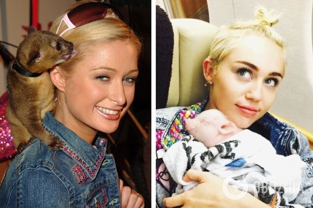 Кинкажу, альпака, поросенок и другие необычные домашние животные знаменитостей. Фото