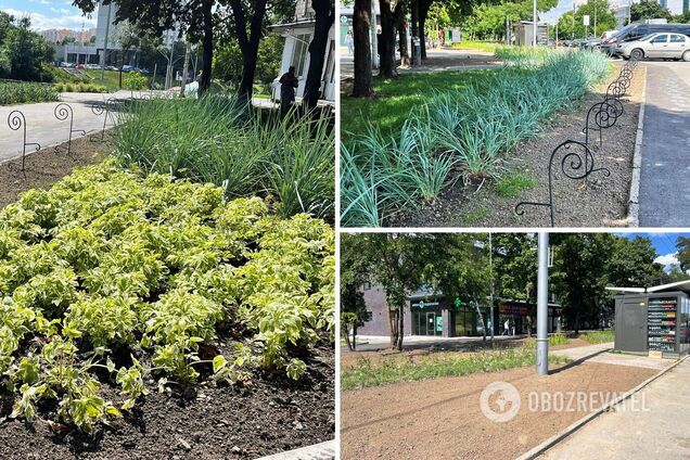 Коммунальщики убрали МАФы и обустроили зеленую зону