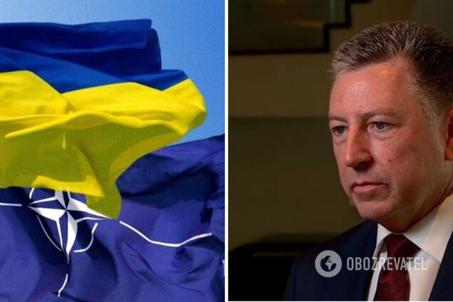 Волкер: Украину пригласят вступить в НАТО на саммите в 2024 году