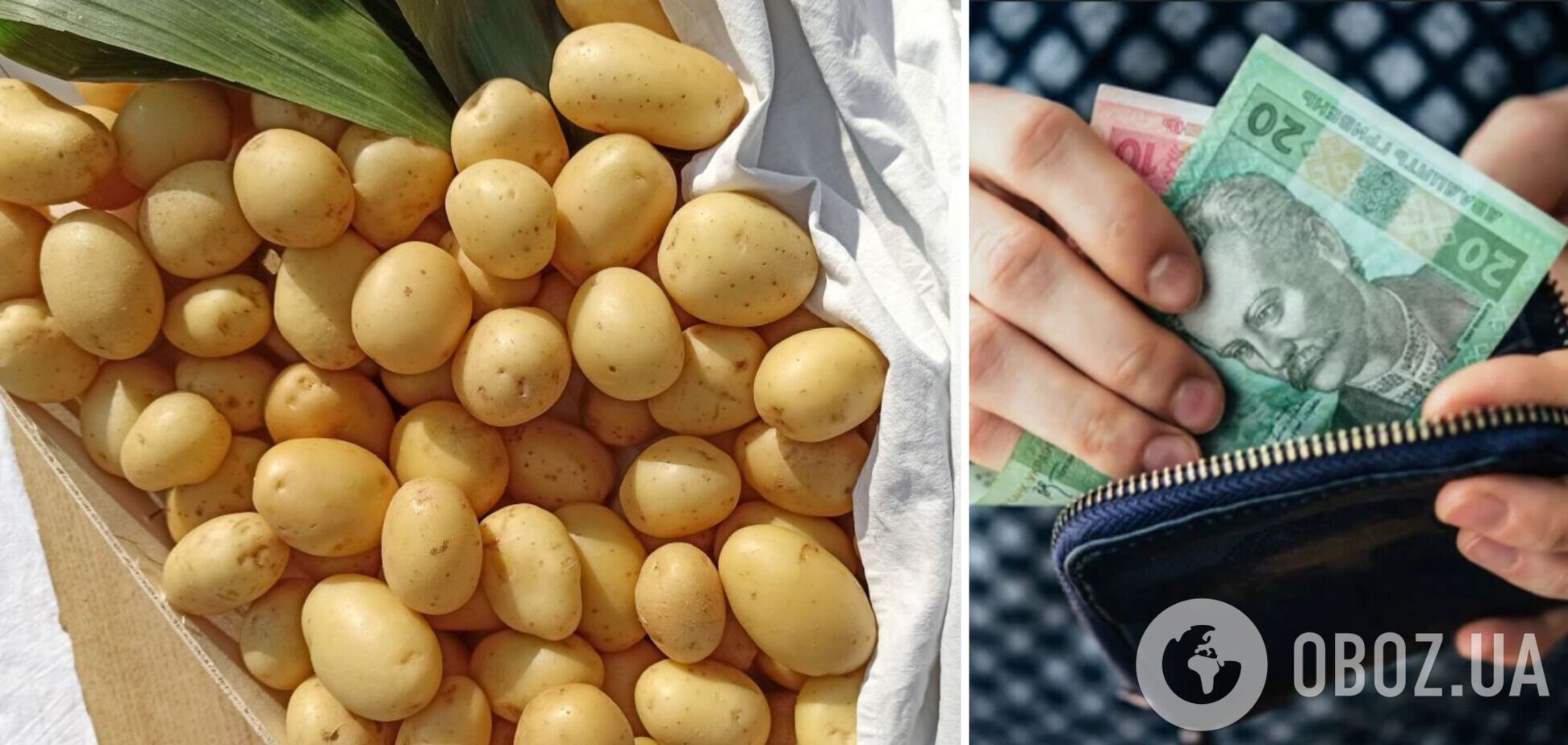 В Украине резко изменились цены на картофель